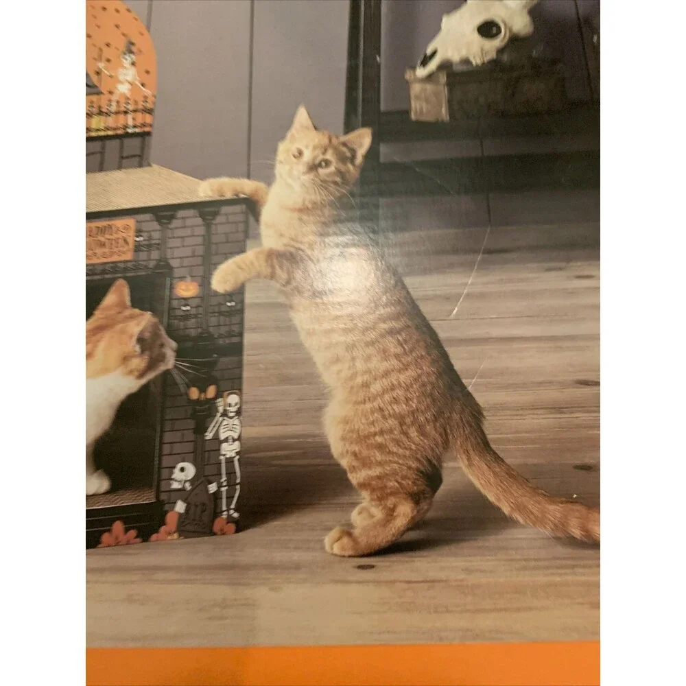 Hyde And EEK Skeleton Park Cat Scratcher Halloween Theme